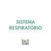 Resumo CN - Sistema respiratório