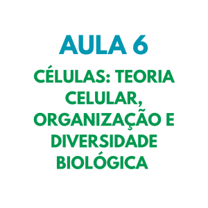 AULA 6