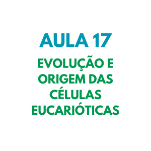 AULA 17
